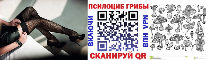Псилоцибиновые грибы GOLDEN TEACHER наркошоп Козельск